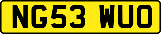 NG53WUO