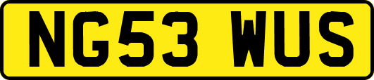 NG53WUS
