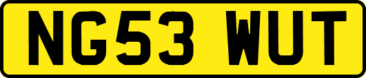 NG53WUT
