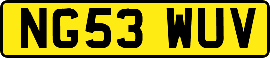 NG53WUV