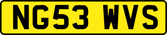 NG53WVS