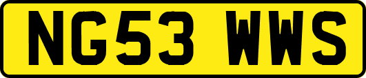 NG53WWS