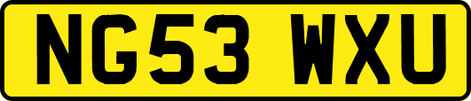 NG53WXU