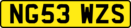 NG53WZS