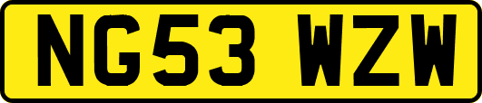 NG53WZW