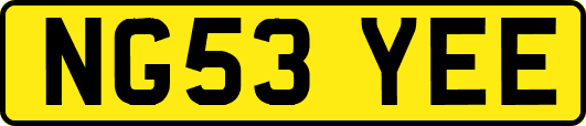 NG53YEE