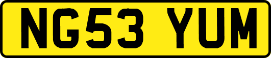 NG53YUM