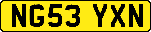 NG53YXN