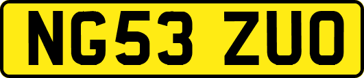 NG53ZUO