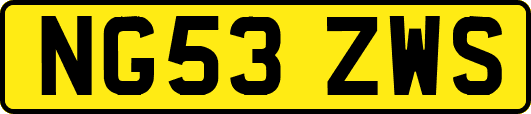 NG53ZWS