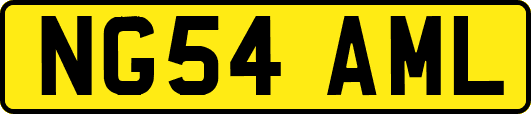 NG54AML