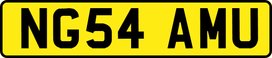 NG54AMU