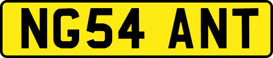 NG54ANT