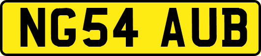 NG54AUB