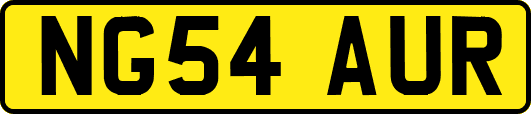 NG54AUR