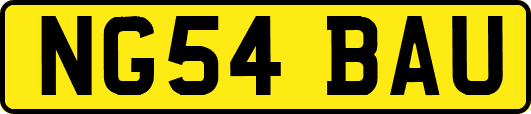 NG54BAU