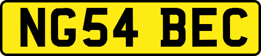 NG54BEC