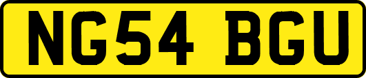 NG54BGU
