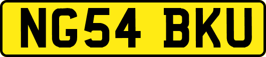 NG54BKU