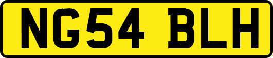 NG54BLH