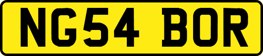 NG54BOR