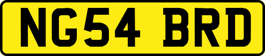 NG54BRD