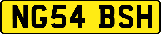 NG54BSH