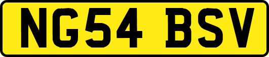 NG54BSV