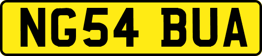 NG54BUA