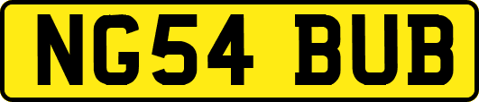 NG54BUB