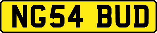 NG54BUD