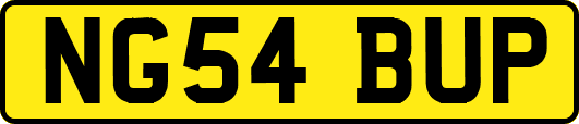 NG54BUP
