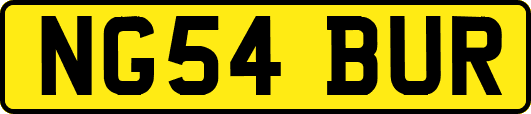 NG54BUR