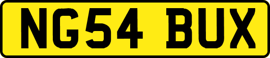 NG54BUX