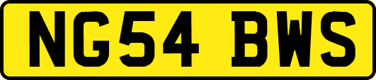 NG54BWS