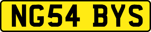 NG54BYS
