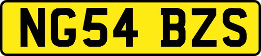 NG54BZS