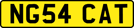 NG54CAT