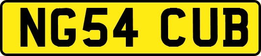 NG54CUB