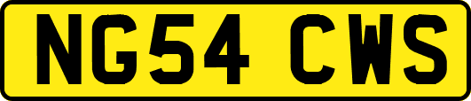 NG54CWS