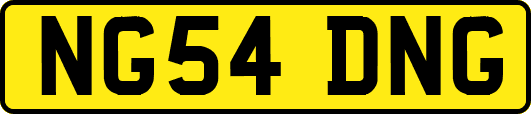 NG54DNG