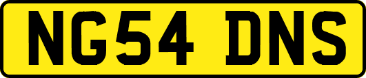 NG54DNS