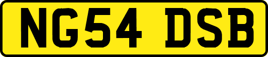 NG54DSB