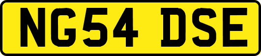 NG54DSE