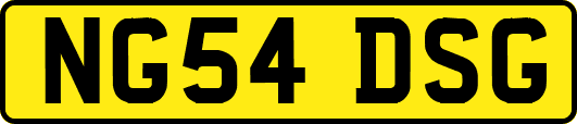 NG54DSG