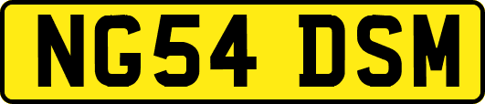 NG54DSM