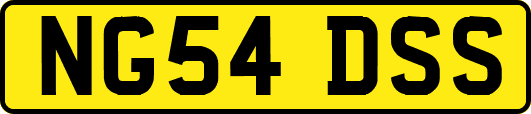 NG54DSS