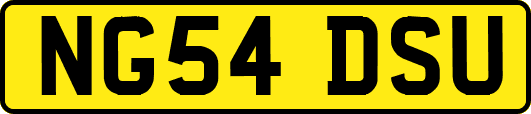 NG54DSU