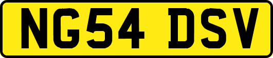 NG54DSV