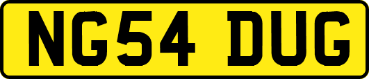 NG54DUG
